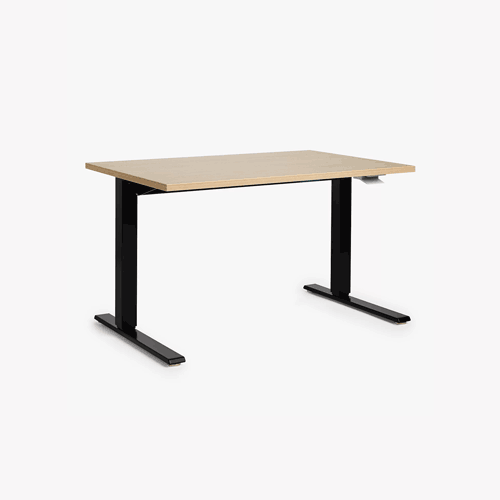 Large Desk(E-COM09)